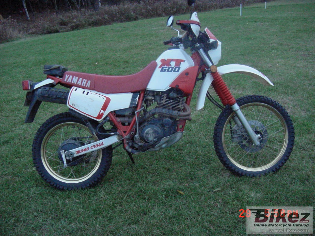Big Joseph M. Terry xt 600 picture and wallpaper from Bikez.com